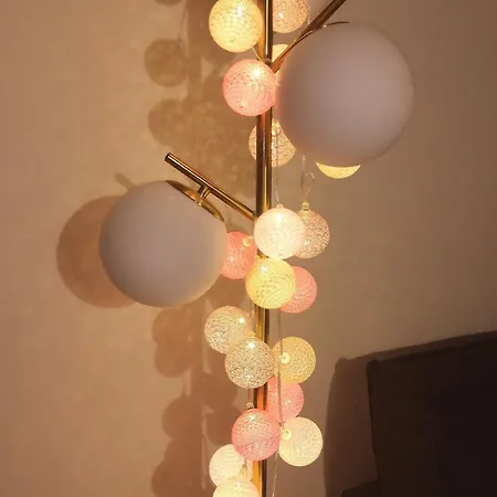 Le Petit Cocon Du Marais Appartement